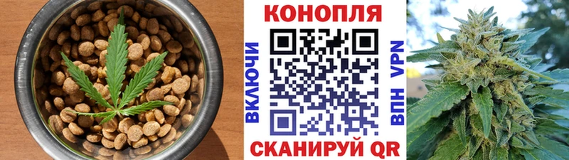 Canna-Cookies конопля  купить наркотики цена  Сычёвка 