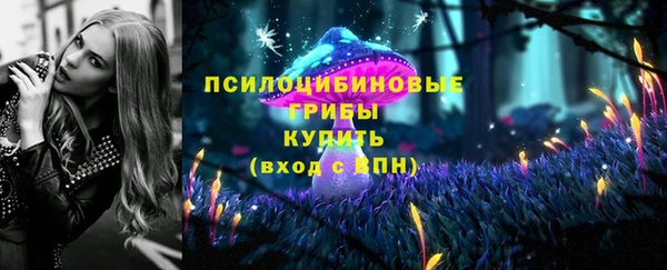 бошки Рославль
